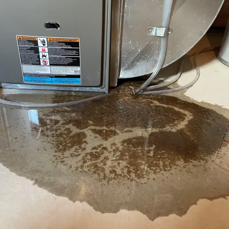 Appliance Leak Cleanup in Floyd County, VA